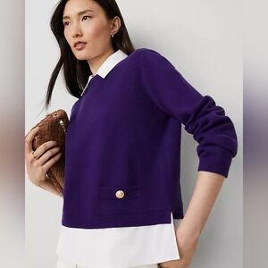 NWT Ann Taylor Collared Mixed Media Sweater Size Small